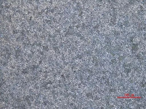 金相典型特征樣品圖譜 (四) : 不銹鋼組織 金相典型特征樣品圖譜 (四) : 不銹鋼組織